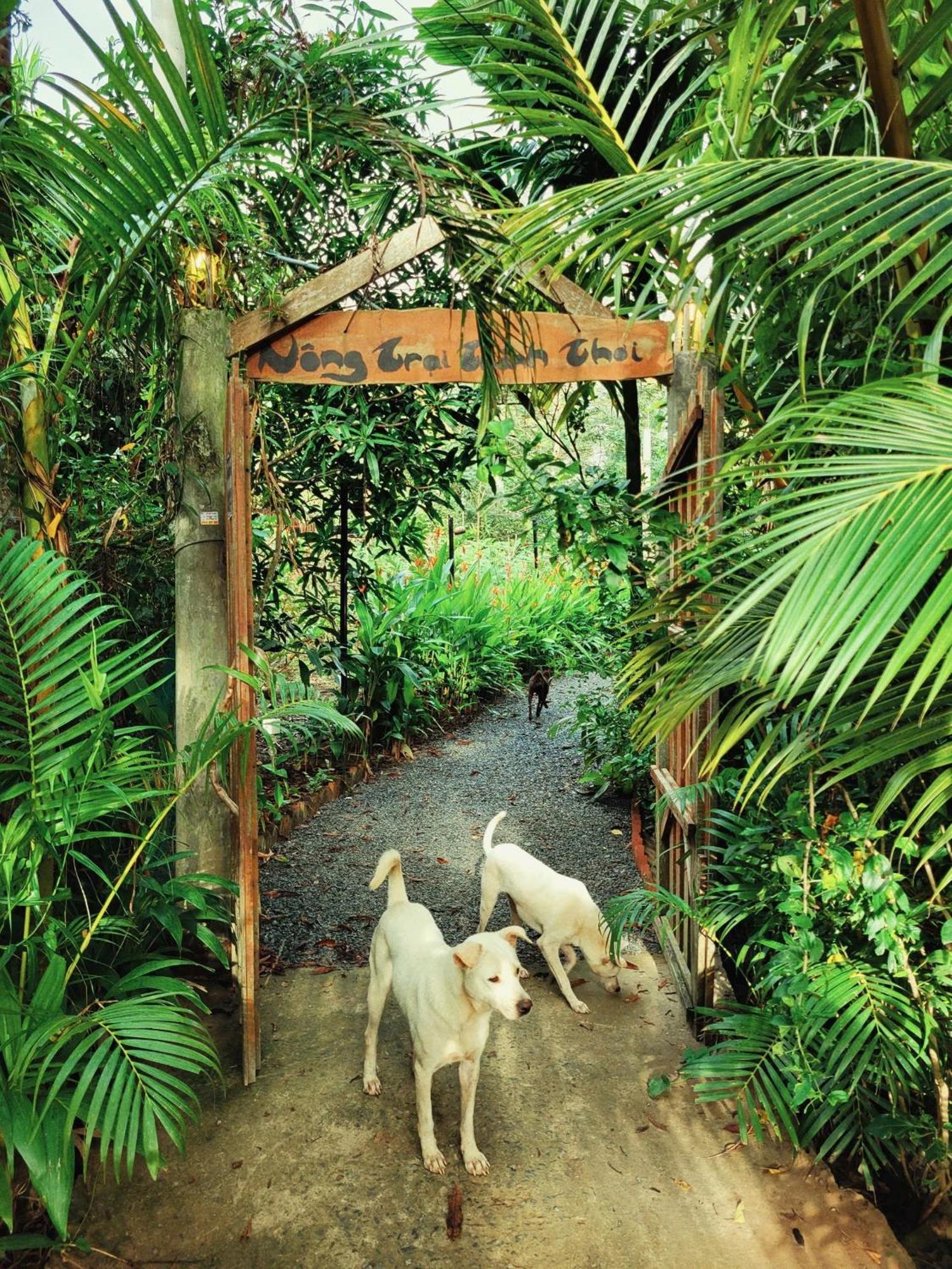 Nong Trai Thanh Thoi Ben Tre Exteriér fotografie